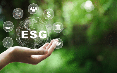 How to incorporate ESG principles into your small business strategy