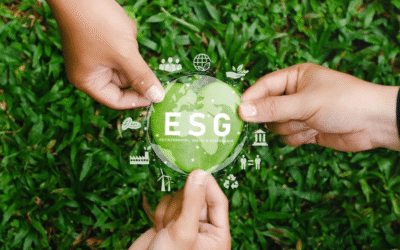 The impact of ESG on small business financing and investment