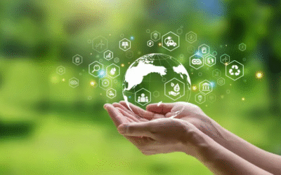 Why is sustainability important in business?