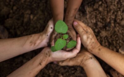 Enhancing business sustainability: the importance of ESG advisory services